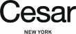 Cesar NYC