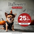 Howl-O-Ween Sale: 25% OFF on Pet Supplies- PetCareClub
